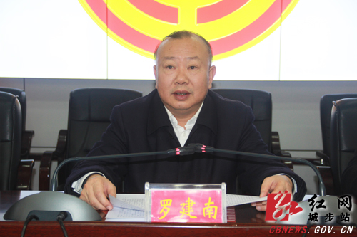 城步工会第十三次代表大会隆重召开(图2)
