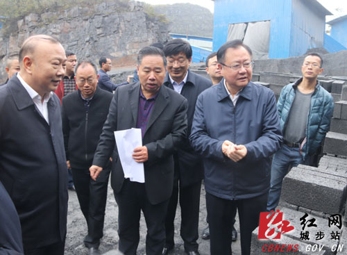 龚文密调研城步易地扶贫搬迁和生态环保工作(图2)