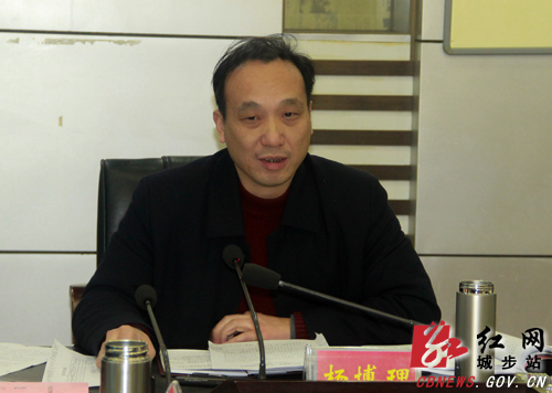 城步召开2019年经济工作务虚会议(图2)