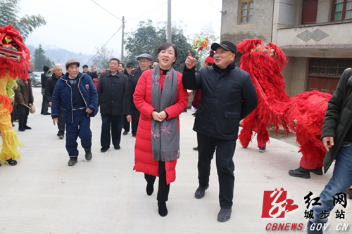 陈文华深入西岩镇陈石村指导工作(图1)