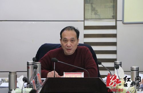 城步召开2019年第1次政府常务会(图2)