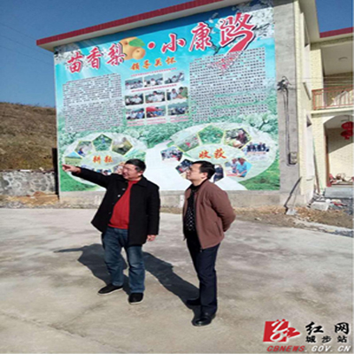 谢卫东指导儒林镇塔溪村扶贫工作(图1)