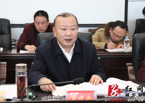 城步召开2019年第一次县委常委（扩大）会议(图2)