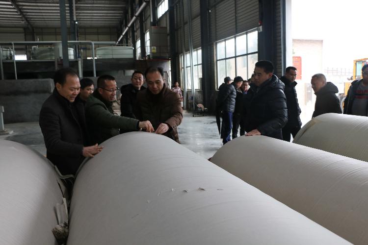 杨博理调研城步湘商产业园建设(图1)