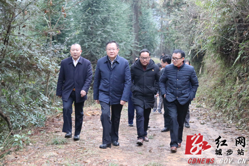 龚文密深入城步走访慰问贫困群众、检查安全生产工作(图1)