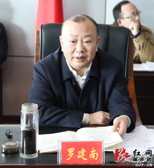 城步召开2019年第2次县委常委会议(图2)