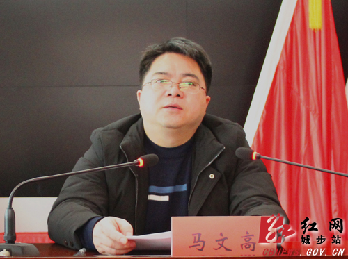 城步全面部署扶贫领域专项巡察工作(图3)