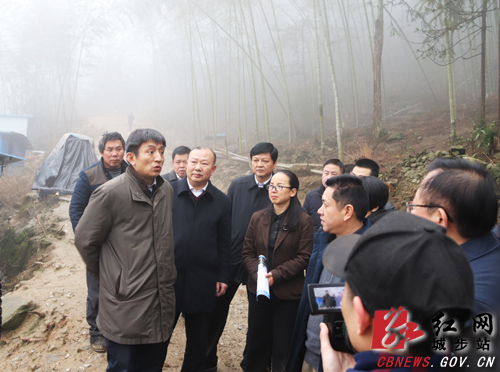 李成钢调研城步脱贫攻坚工作(图2)