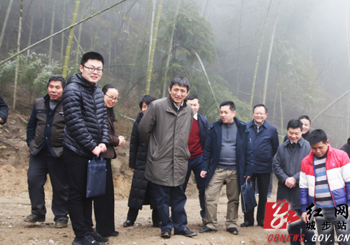 李成钢调研城步脱贫攻坚工作(图1)