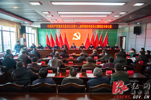 城步第十二届纪委第四次全会闭幕(图1)