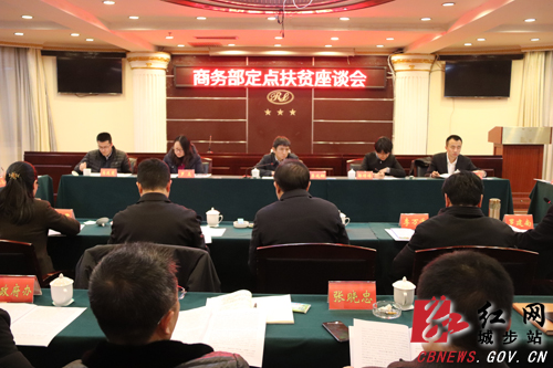 李成钢调研城步脱贫攻坚工作(图4)