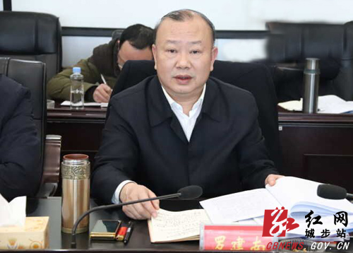 城步召开2019年第3次县委常委（扩大）会议(图2)