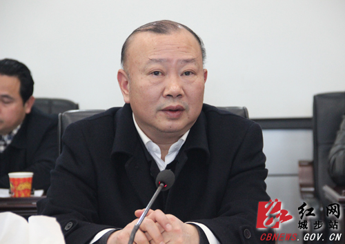 城步召开2019年全县经济工作暨产业发展座谈会(图2)