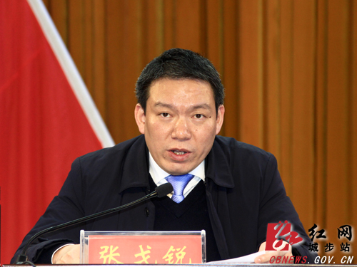 城步召开第十二届纪委第四次全会(图4)