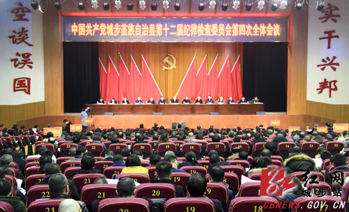 城步召开第十二届纪委第四次全会(图1)