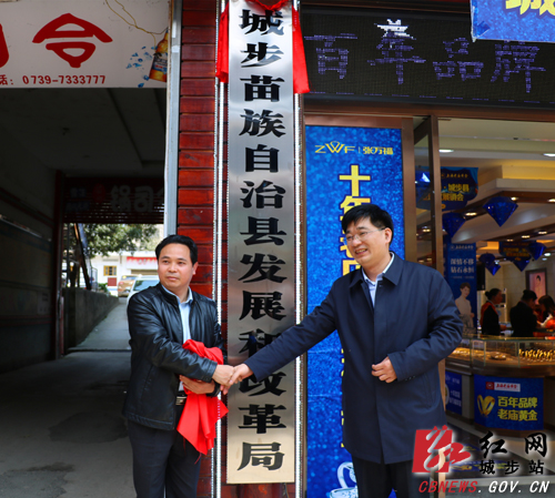 城步17家机构改革新组建单位正式挂牌(图8)