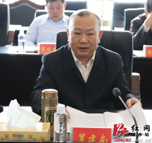 城步召开2019年第6次县委常委会议(图2)