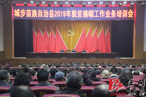 城步举办脱贫摘帽工作业务培训班(图1)