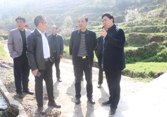 杨博理调研龙凤冲村脱贫攻坚(图2)