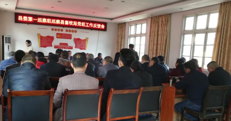 城步委第一巡察组反馈巡察县畜牧局意见(图1)