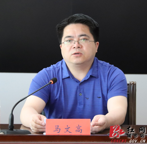 城步召开县委第六轮巡察工作动员会(图3)