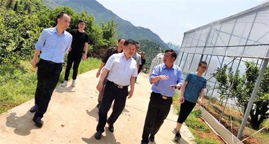 张晓忠调研农业特色产业扶贫工作(图2)