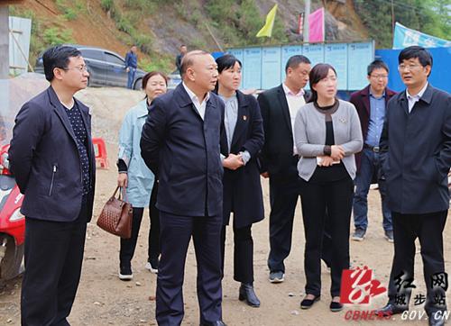 罗建南深入乡镇调研指导脱贫攻坚等工作(图4)