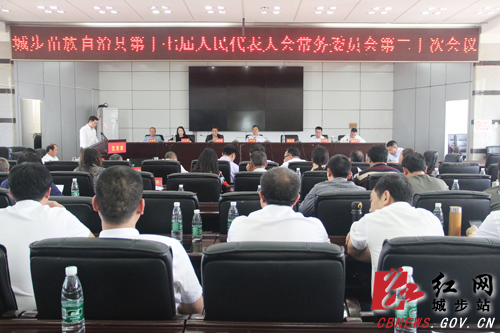 城步苗族自治县第十七届人大常委会召开第二十次会议(图1)