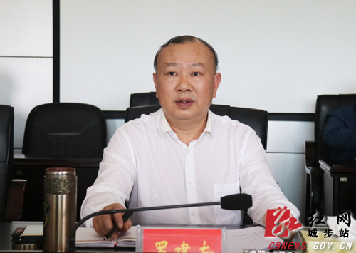 城步召开今年第11次县委常委（扩大）会议(图2)