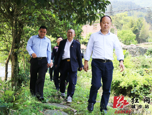胡安平深入长安营镇走访调研(图4)