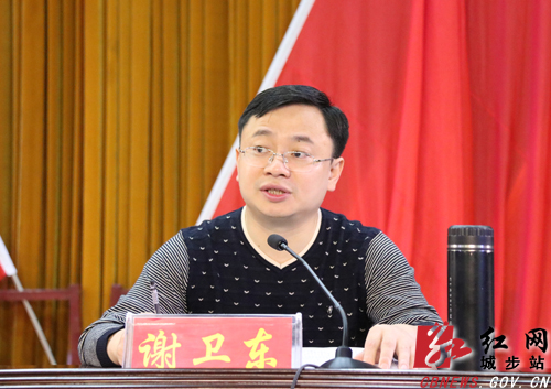 城步召开2019年脱贫攻坚暨县委农村工作会议(图3)