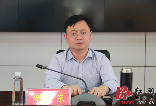 城步召开集中整治形式主义官僚主义专项行动推进会(图2)