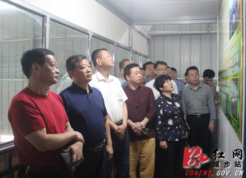 双牌县人大调研组来城步考察茶产业发展(图2)