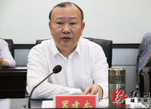 城步召开2019年第14次县委常委（扩大）会议(图2)