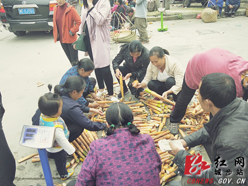 城步苗乡小苦笋走俏沿海大市场(图1)