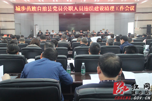 城步全面推进违法建设清理工作(图1)