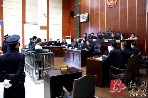 城步首例公益诉讼案件开庭审理(图1)