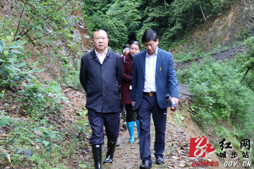 罗建南带头深入白毛坪镇领办省委巡视交办群众信访问题(图1)