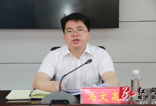 城步召开集中整治形式主义官僚主义专项行动推进会(图3)