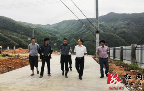罗小林调研茅坪镇脱贫攻坚工作(图1)