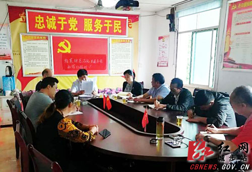 阳恩平指导丹口镇仙鹅村软弱涣散党组织整顿工作(图1)