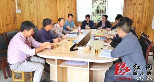 罗小林指导西岩镇源水村脱贫攻坚工作(图1)