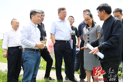 九三学社中央调研组来城步开展课题调研(图1)