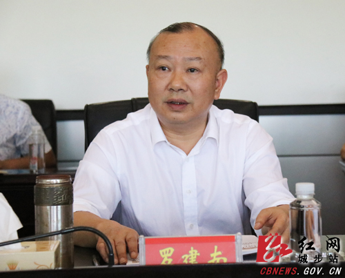 罗建南主持召开城步委网络安全和信息化委员会第一次会议(图2)