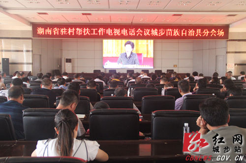 城步集中收听收看全省驻村帮扶工作电视电话会议(图1)