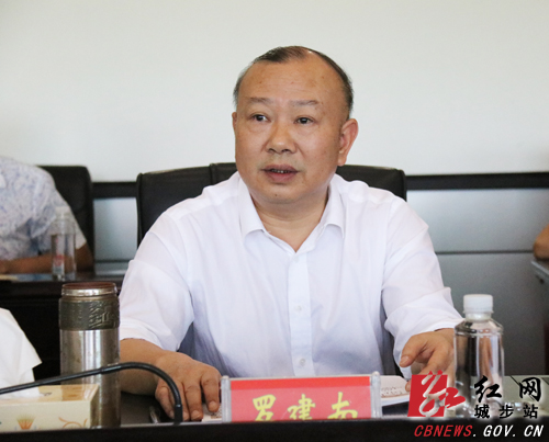 罗建南主持召开2019年第17次县委常委（扩大）会议(图2)