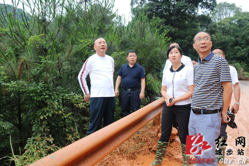 罗建南深入一线靠前指挥防汛抗洪救灾工作(图4)