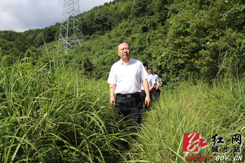 罗建南深入长安营镇开展“三同”活动(图1)