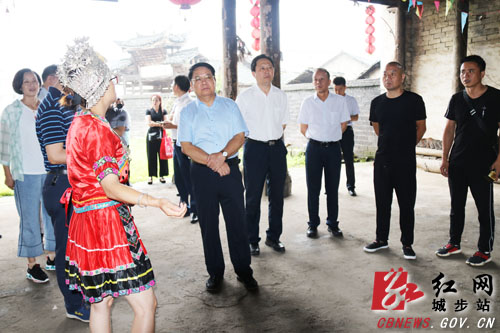 罗黎明考察城步少数民族特色村寨(图1)