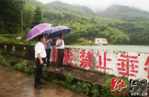 罗小林指导茅坪镇防汛抗洪工作(图1)